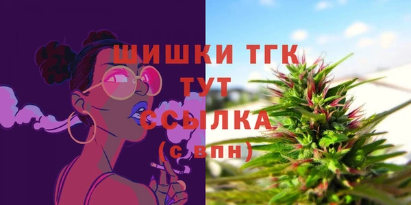 гидра Новодвинск