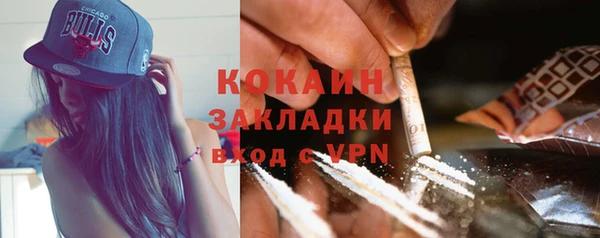 гидра Новодвинск