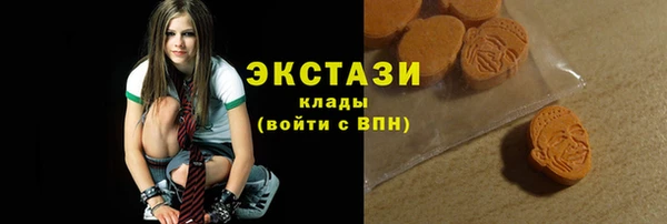 гидра Новодвинск