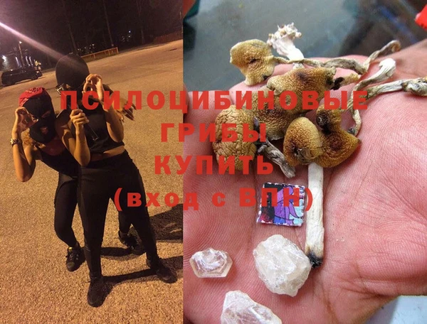 прущие крисы Ветлуга