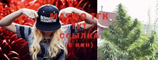 гидра Новодвинск