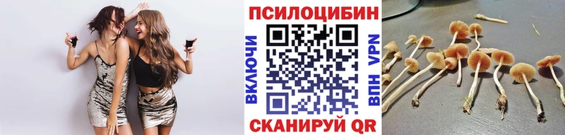 Галлюциногенные грибы Magic Shrooms  omg как войти  Новоаннинский 